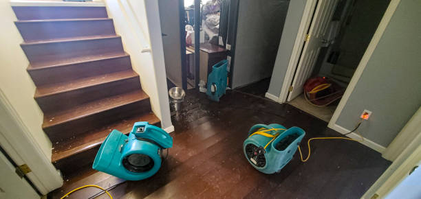 Best Ceiling water damage repair  in Jackson, KY