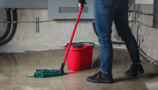 Best 24-hour water damage restoration  in Jackson, KY