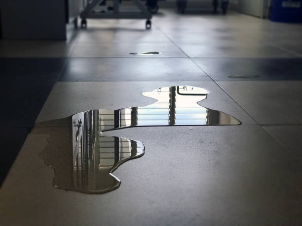 Best Water damage restoration near me  in Jackson, KY