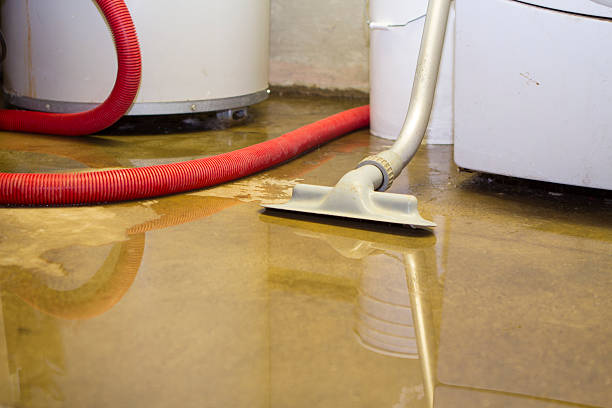 Trusted KY Water damage restoration Experts