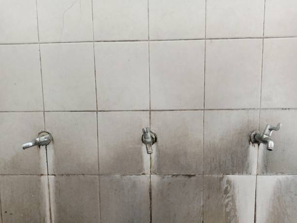 Best Sewage cleanup and water damage restoration  in Jackson, KY